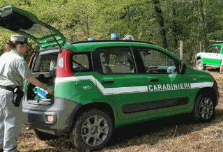 Sequestrati 300 kg di miele irregolare: sospeso laboratorio alimentare a Villa Santa Maria