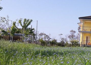 Tre bambini crescono isolati nei boschi del Vastese: indagine su una famiglia che rifiuta la vita “moderna”