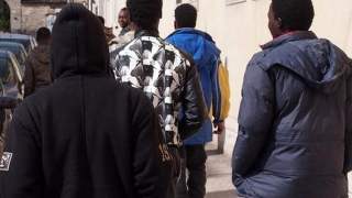 Traffico di visti finti tramite decreto flussi: smantellata rete da milioni di euro